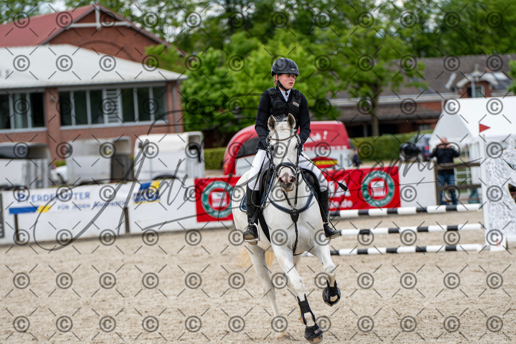 KPT_6220 | andre_photographic