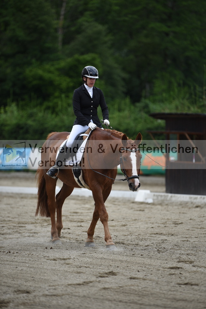 DSC_6246 | equestrian-live-com