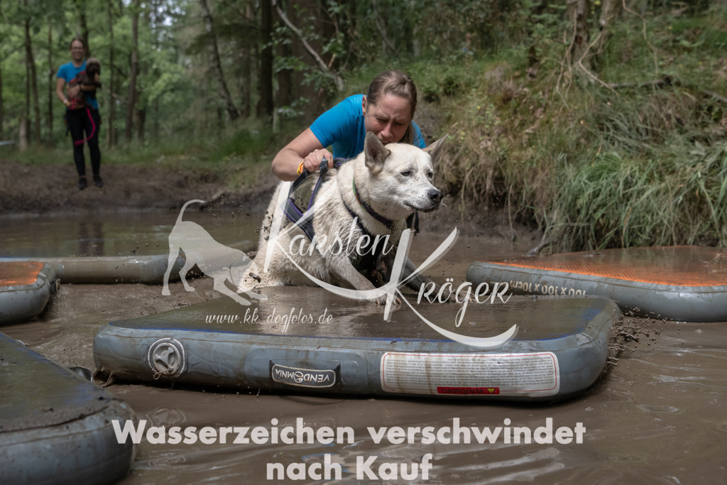 1357_ZZ96447 | kk-dogfotos