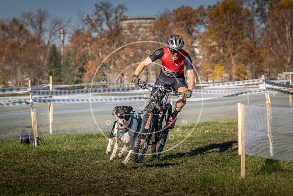 CaniXpix_0L8A5134 | Hundefotografie, Tierfotograf, Pfotenfotografie, Fotoshooting Hund, Hunde Portrait, Hundesport, Hundeportraits, Heideshooting, Hunde, Sportfotograf, Hundefotograf, Turnierhundsport, THS,  - Realisiert mit Pictrs.com