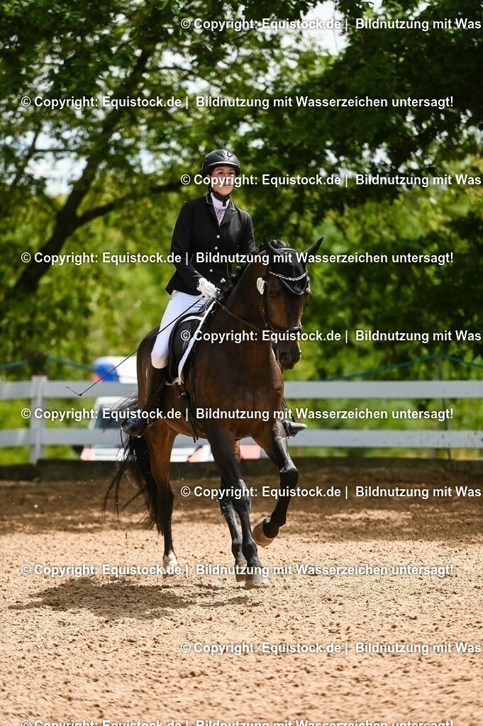 20230716_03_Dressurprfg. Kl.L - Tr._0574 | equistock