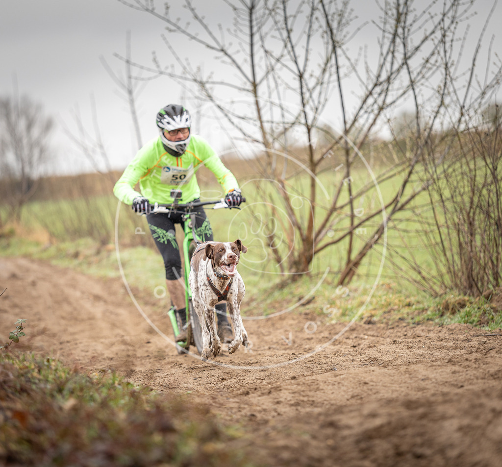 DV3A9229 | Hundefotografie, Tierfotograf, Pfotenfotografie, Fotoshooting Hund, Hunde Portrait, Hundesport, Hundeportraits, Heideshooting, Hunde, Sportfotograf, Hundefotograf, Turnierhundsport, THS,  - Realisiert mit Pictrs.com