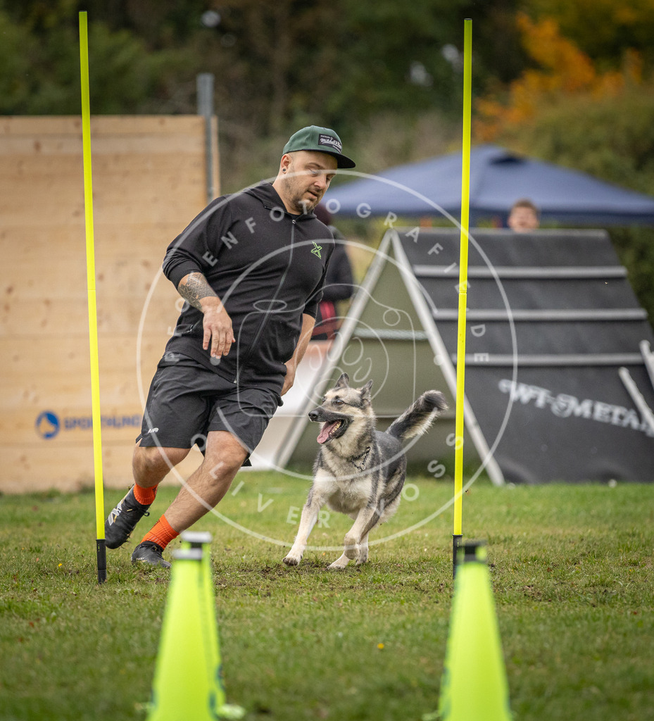 Pfotenfotografie_DV3A0103 | Hundefotografie, Tierfotograf, Pfotenfotografie, Fotoshooting Hund, Hunde Portrait, Hundesport, Hundeportraits, Heideshooting, Hunde, Sportfotograf, Hundefotograf, Turnierhundsport, THS,  - Realisiert mit Pictrs.com