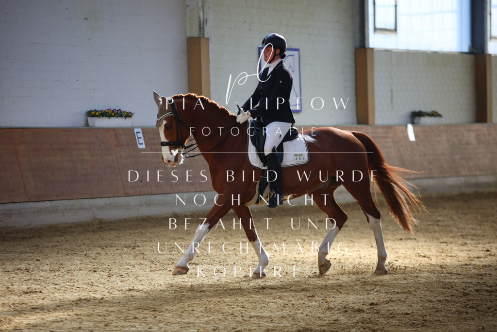 IMGT9666 | pl-fotografie