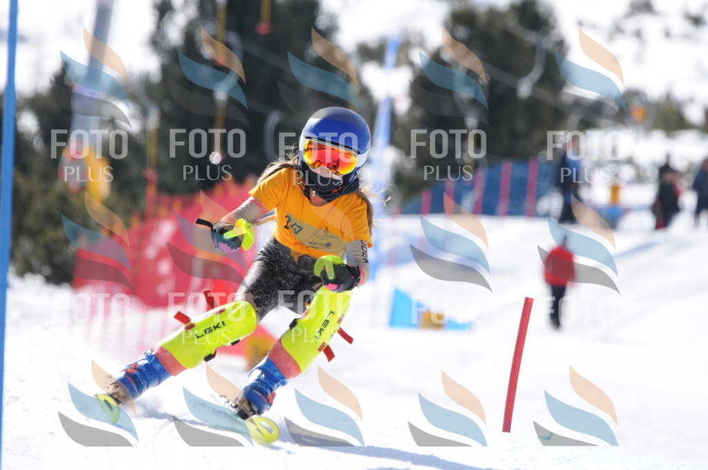 C8836 | holidayphoto