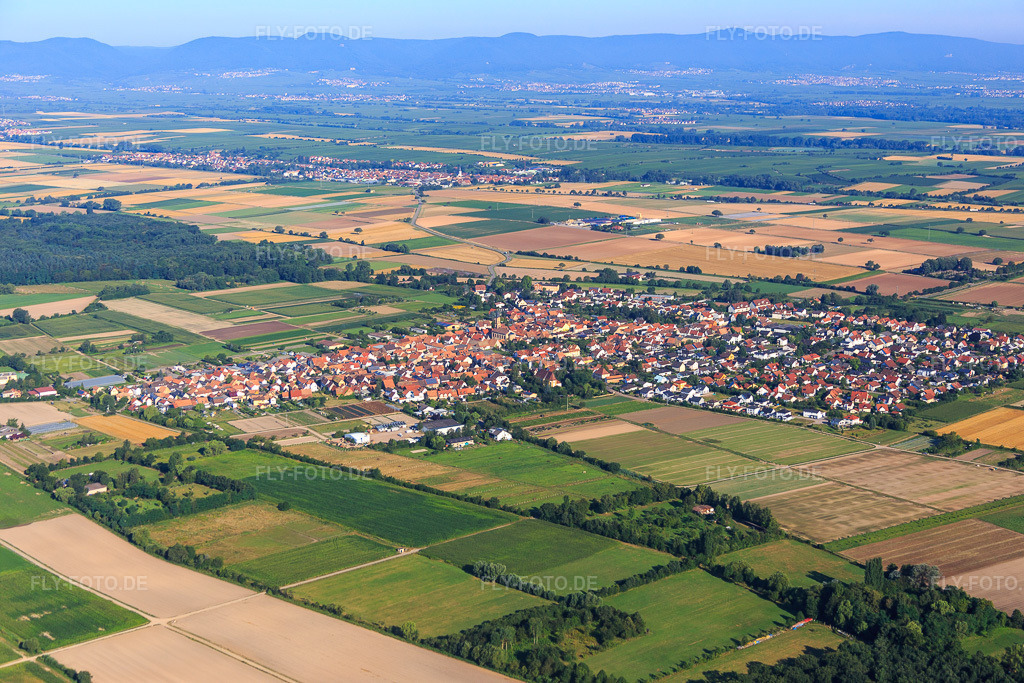 Luftbild: Dorfansicht aus Südosten in Zeiskam im Bundesland Rheinland-Pfalz in Deutschland. Foto: IMG_092481.jpg vom 01.08.2016 durch Werner Riehm/FLY-FOTO.de