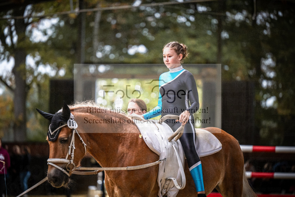 DOS_0172 | Entdecke hochwertige Reitturnierfotos von Foto Oger. Professionell, emotional und authentisch – jetzt Lieblingsmomente im Shop bestellen.Deutschlandweite Turnierfotografie. - Realisiert mit Pictrs.com