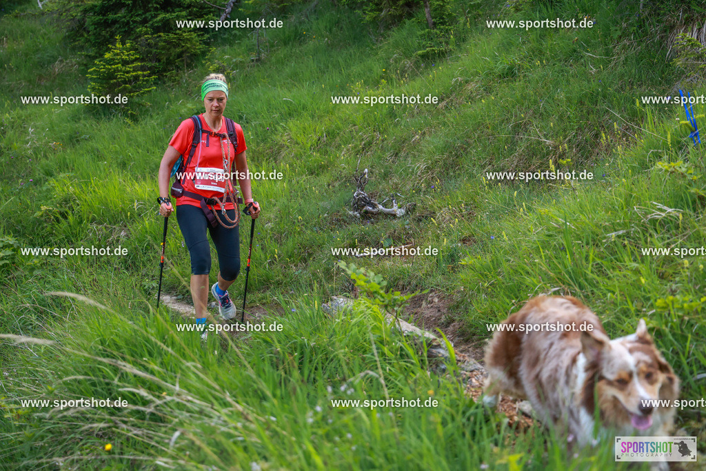 AR6_7750 | 55. Ebbser Koasamarsch 2025  #55jahreebbserkoasamarsch #ebbserkoasamarsch #wandernkufsteinerland #trailrunningkufsteinerland #yourpictrs #sportshot_your_pictrs @Sportshotphotography. Copyright: www.sportshot.de