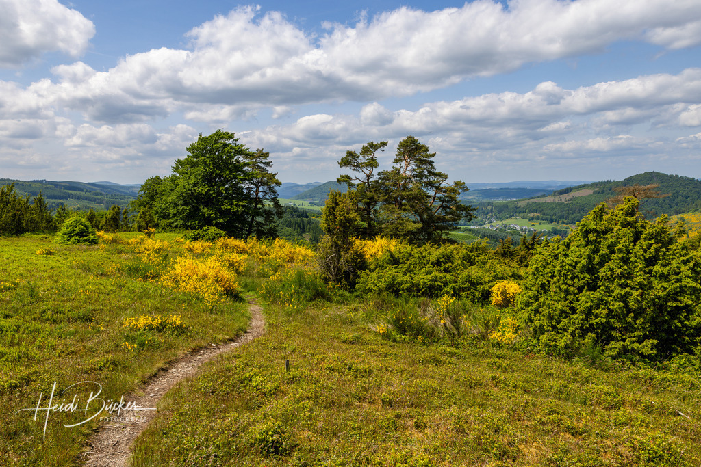 Westfeld und Umgebung 016 | Bilder und Impressionen zu jeder Jahreszeit aus dem Sauerland im Naturpark Sauerland-Rothaargebirge - Realisiert mit Pictrs.com