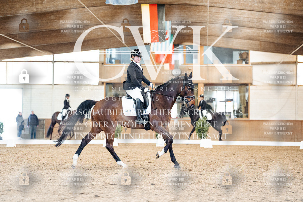 CK909410 | Turnierfotografie Pferdefotografie Trier Rheinland-Pfalz Pferdesport Reitsport Tierfotografie Sportfotografie Pferdevideo Pferdevideografie Equestrianvideography equestrianphotography  - Realisiert mit Pictrs.com