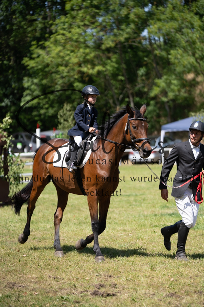 A7V06251 | Turnier/Reitfotograf