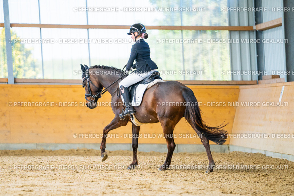 DSC07312 | Pferdegrafie