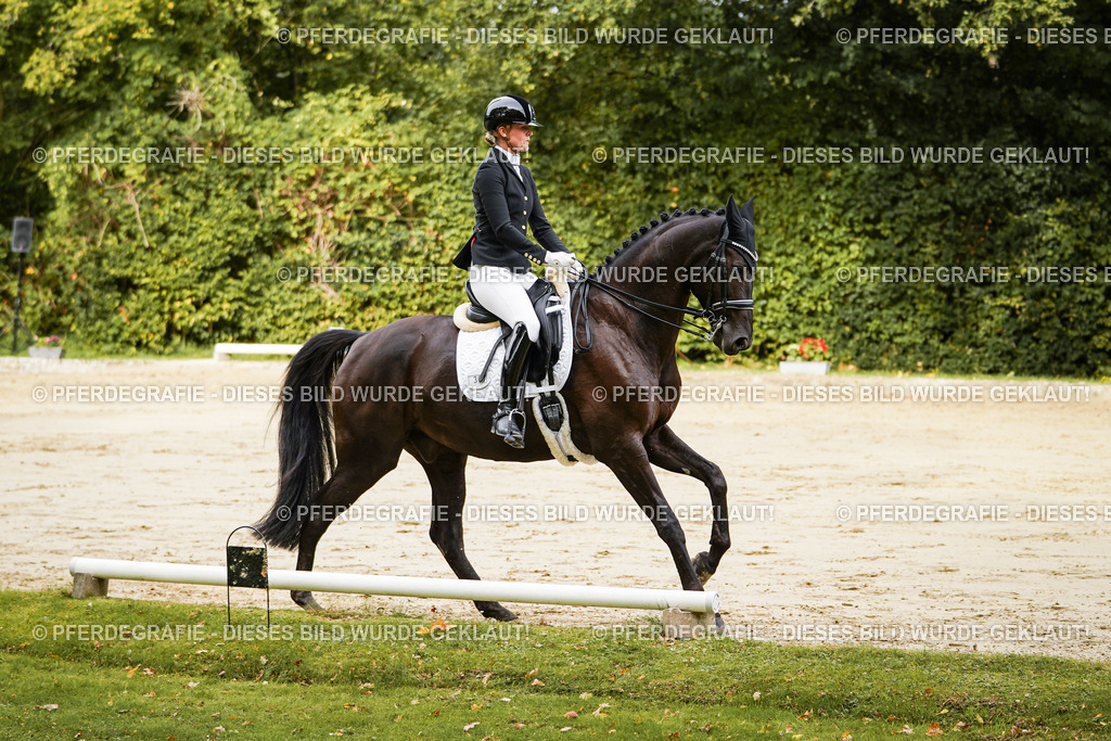 DSC02129 | Pferdegrafie