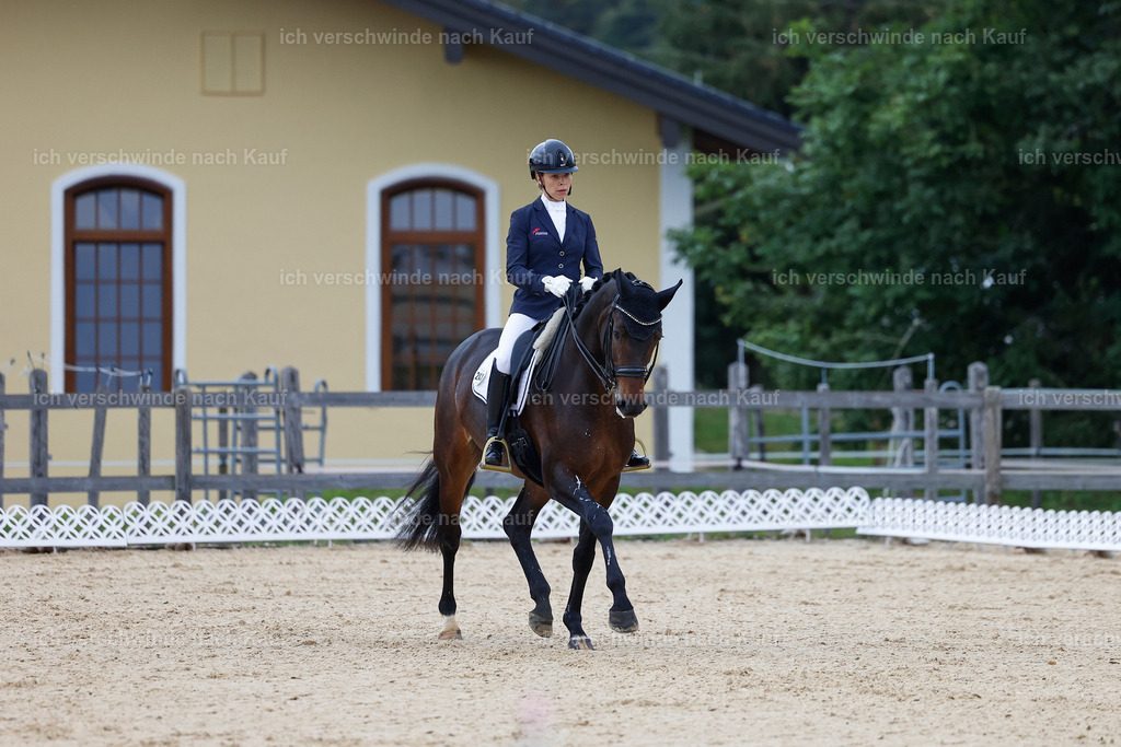 3-241-Dressur M_-StoibPH-2326 | working equitationturnier fotograf videograf stoibphotography marixx film working equitation deutschland reitsport turnierfotografie eventfotografie equestrian events