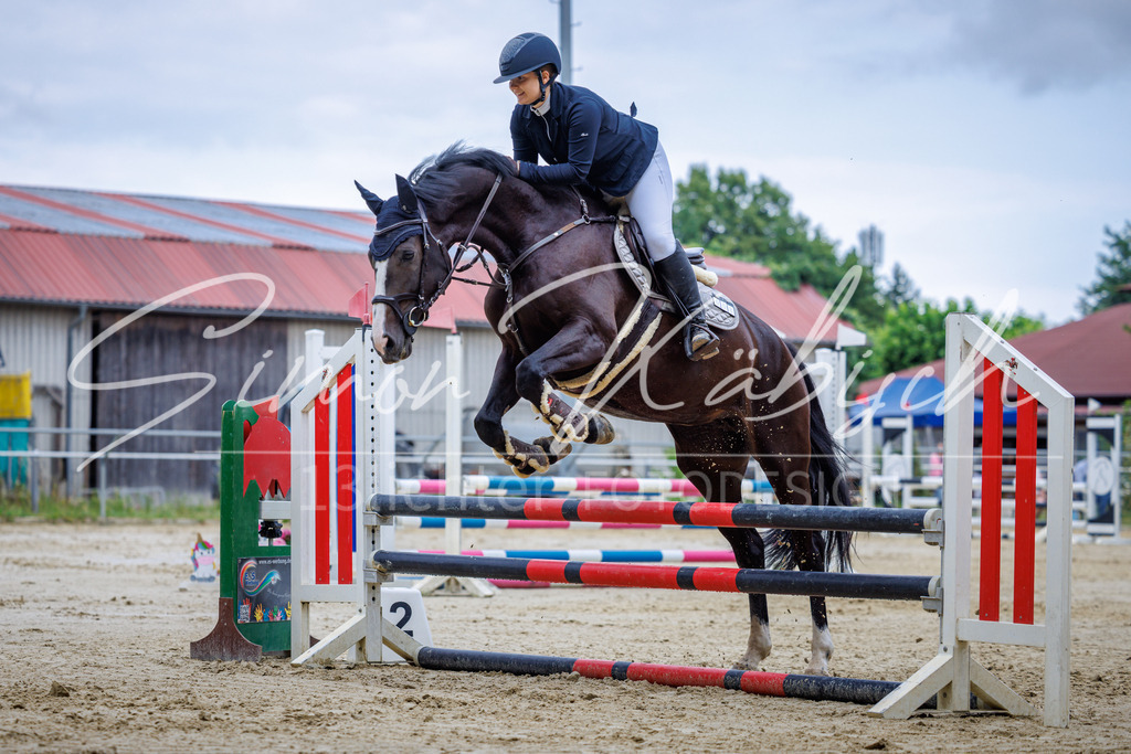 20260705-_3LI3744 | Tierfotografie Pferde, Hunde, Katzen, Haustiere.
Turnierfotografie Reitturniere, Reiten, Springreiten, Dressur in Hanau, dem Main-Kinzig-Kreis und dem Rhein-Main- Gebiet um Frankfurt