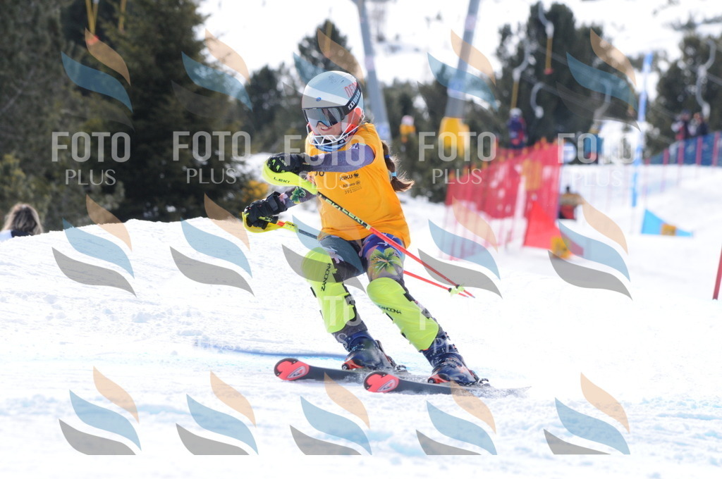 C8795 | holidayphoto