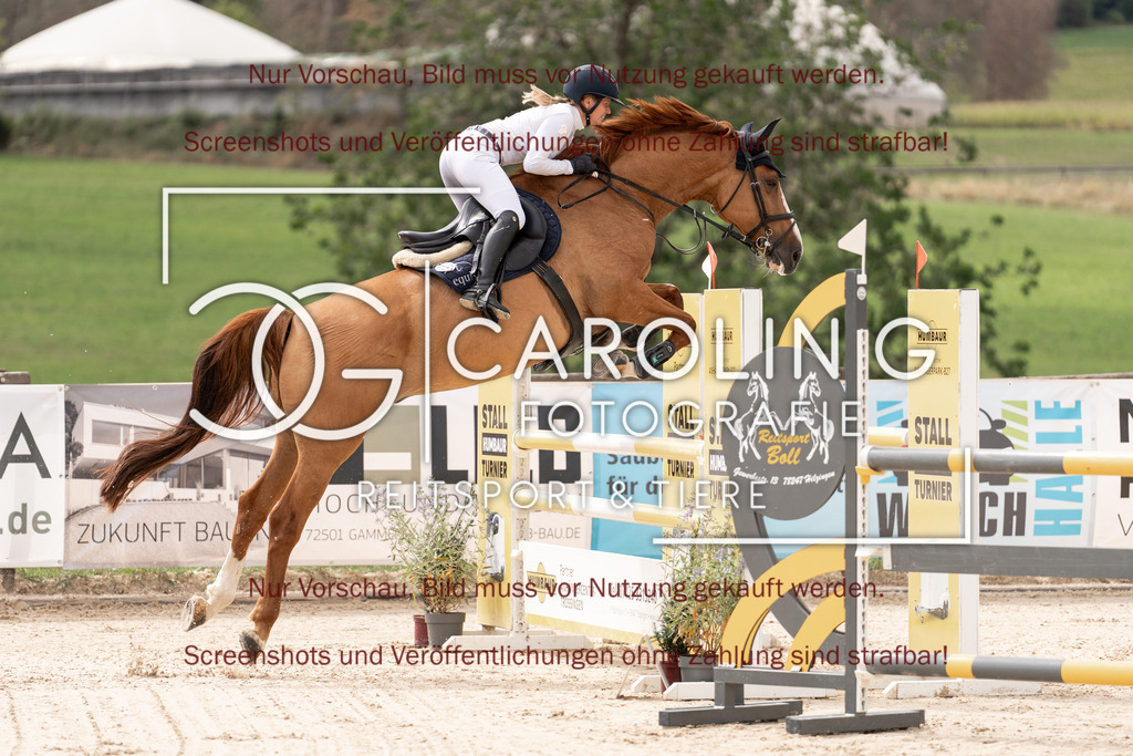 DSC06412 | Springturnier_Teamchallege_Talheim_2026, Clarissa_Schwär, Cascasall_2
