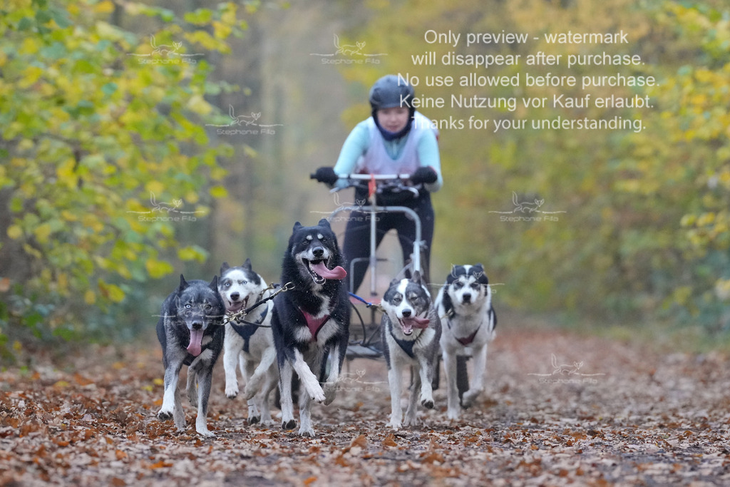 AusschnitteSo-12 | stephaniefillaphotographie - Realisiert mit Pictrs.com