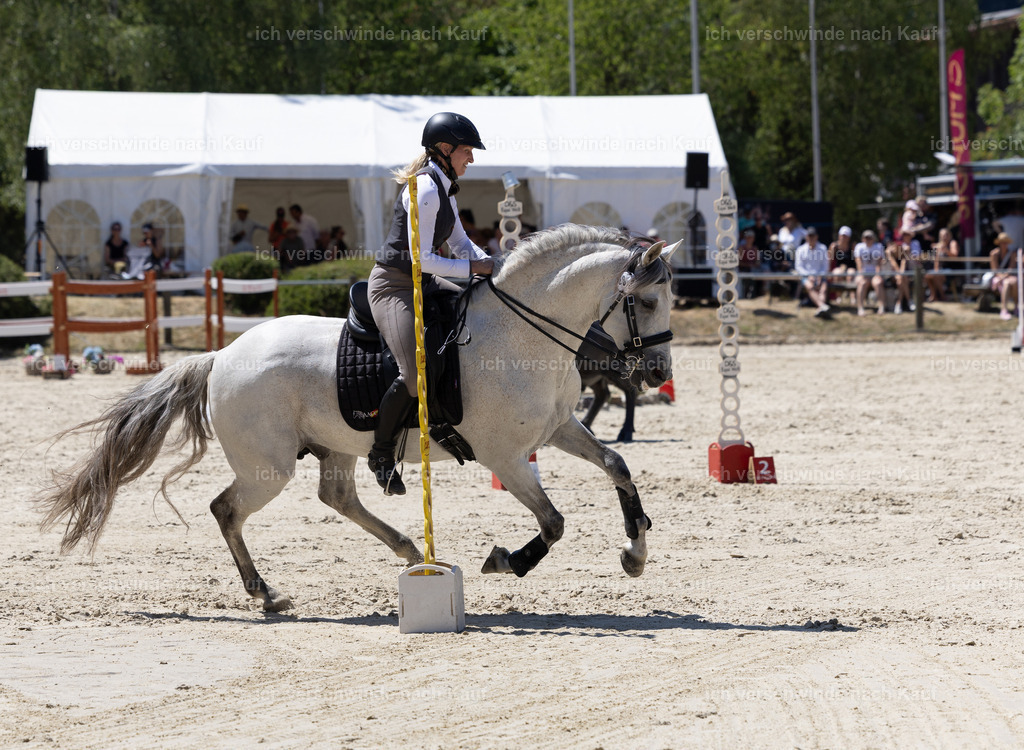 WM_Speed_83_KerstinBernhardt-3 | working equitationturnier fotograf videograf stoibphotography marixx film working equitation deutschland reitsport turnierfotografie eventfotografie equestrian events
