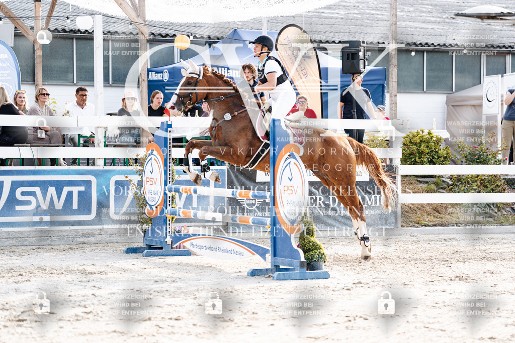 CK906686 | Turnierfotografie Pferdefotografie Trier Rheinland-Pfalz Pferdesport Reitsport Tierfotografie Sportfotografie Pferdevideo Pferdevideografie Equestrianvideography equestrianphotography  - Realisiert mit Pictrs.com