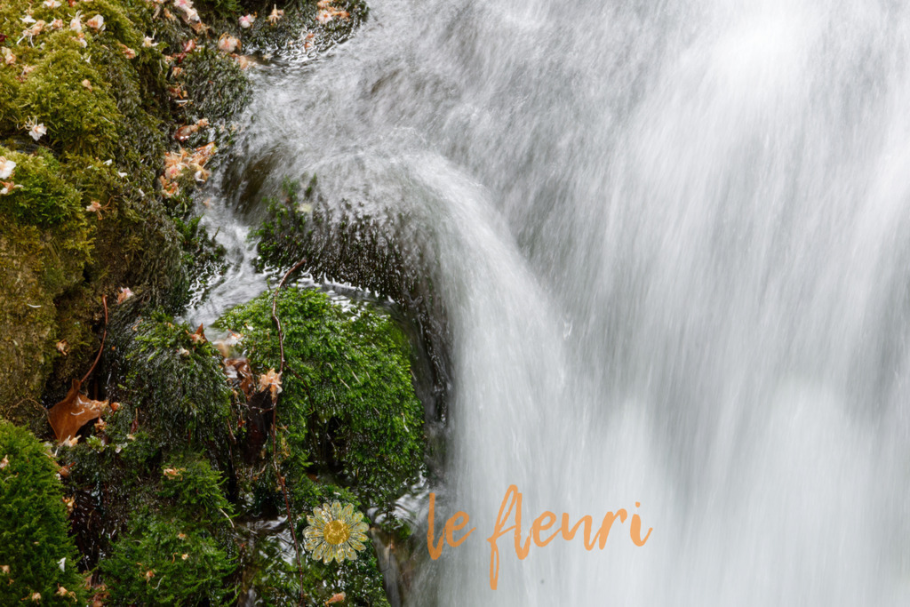 La Source des Romains | Dies ist der Shop von Florian Blum - le fleuri. Langenthal, Bern, SchweizSie können hier meine oder ihre eigenen Fotos als Fotoprodukte kaufen. Tassen, Schlüsselanhänger, Taschen etc. können Sie hier gestalten.  - Realisiert mit Pictrs.com