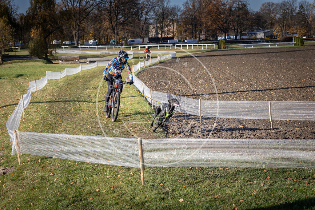 CaniXpix_DV3A3585 | Hundefotografie, Tierfotograf, Pfotenfotografie, Fotoshooting Hund, Hunde Portrait, Hundesport, Hundeportraits, Heideshooting, Hunde, Sportfotograf, Hundefotograf, Turnierhundsport, THS,  - Realisiert mit Pictrs.com