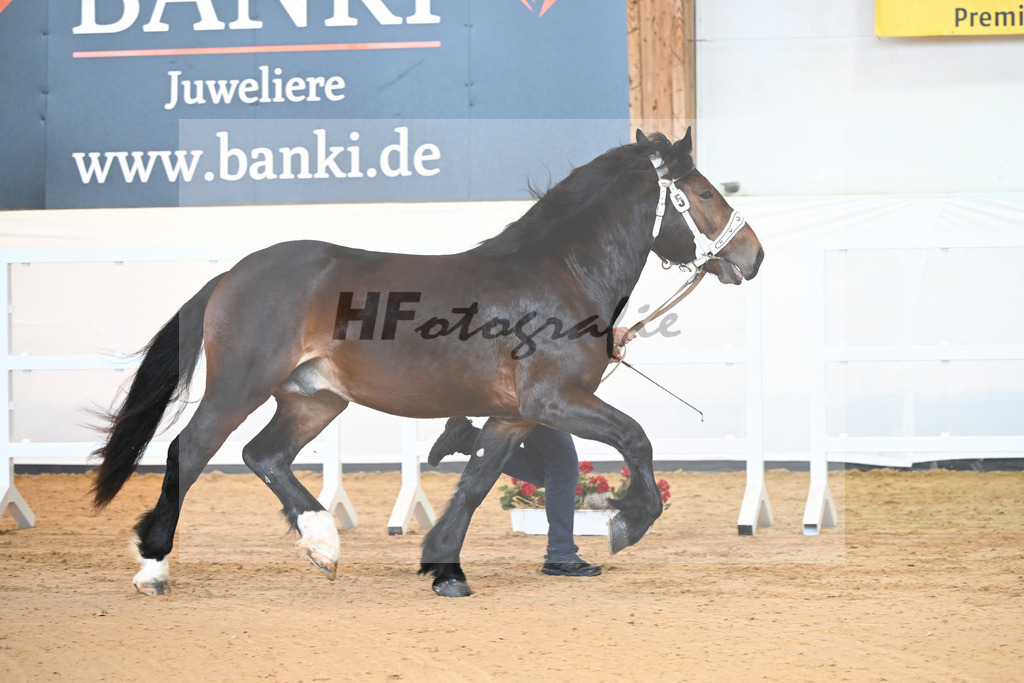 Kat-Nr. 5 v. Rauris_Gierlinger_2230046 | hf-fotografie - Realizzato con Pictrs.com