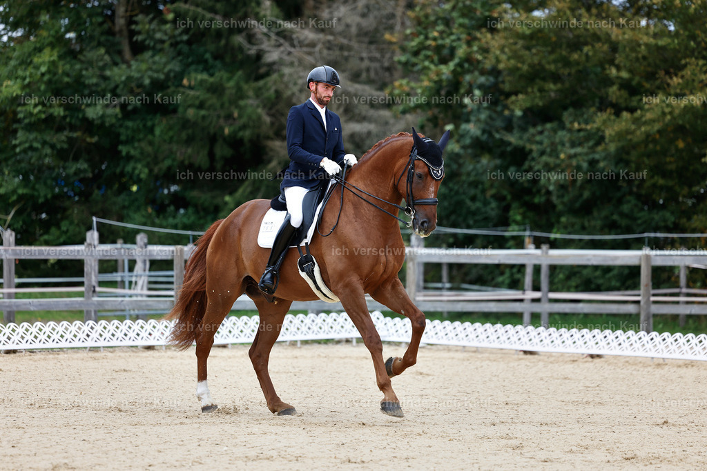 04_1-165-Dressur M__ -StoibPH-StoibPH-2625 | working equitationturnier fotograf videograf stoibphotography marixx film working equitation deutschland reitsport turnierfotografie eventfotografie equestrian events