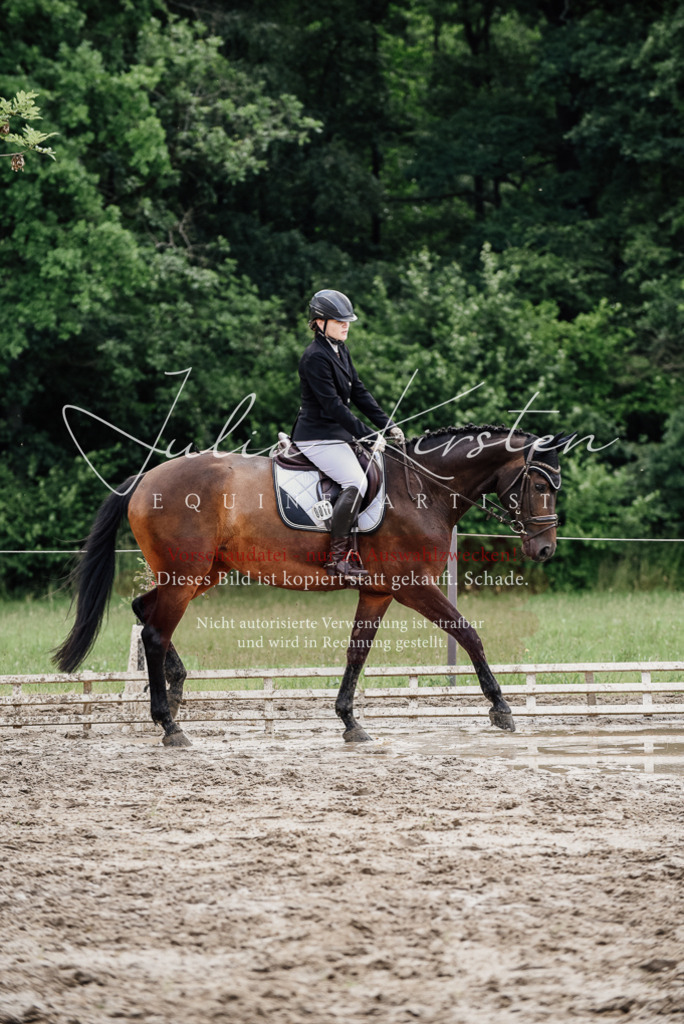 DSC_0733 | Pferde- und Turnierfotografie in Westsachsen. Pferdeportraits, Auftragszeichnungen und intuitive Kunst.