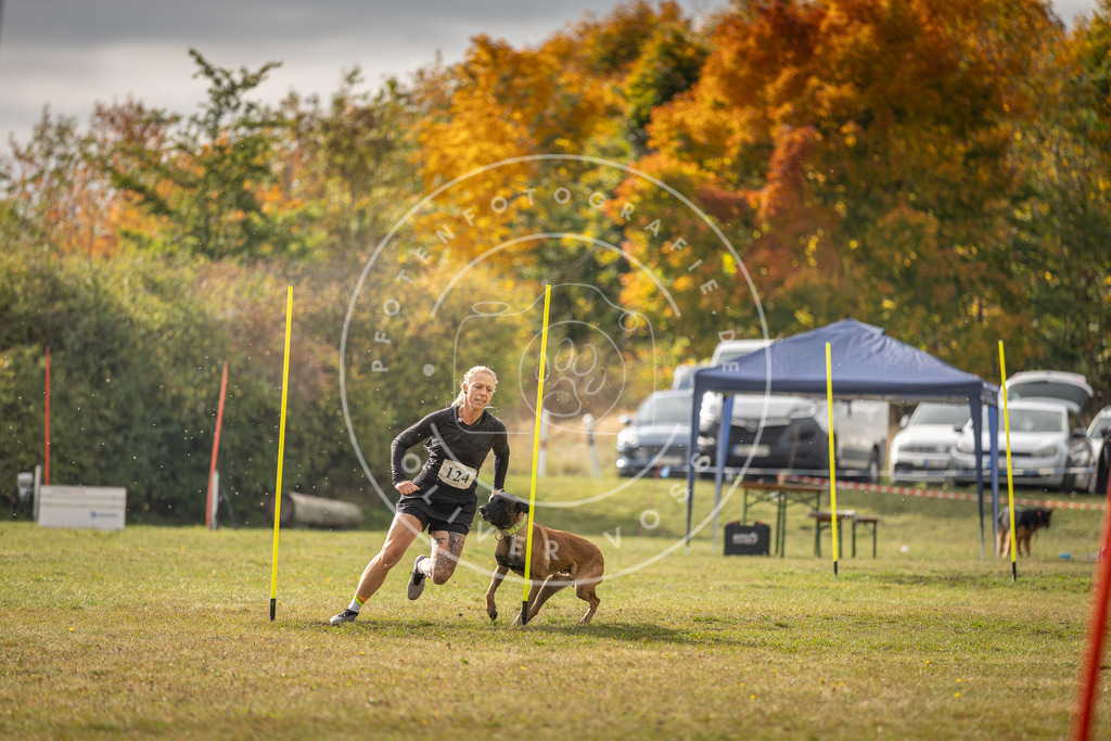 Pfotenfotografie_DV3A7062 | Hundefotografie, Tierfotograf, Pfotenfotografie, Fotoshooting Hund, Hunde Portrait, Hundesport, Hundeportraits, Heideshooting, Hunde, Sportfotograf, Hundefotograf, Turnierhundsport, THS,  - Realisiert mit Pictrs.com
