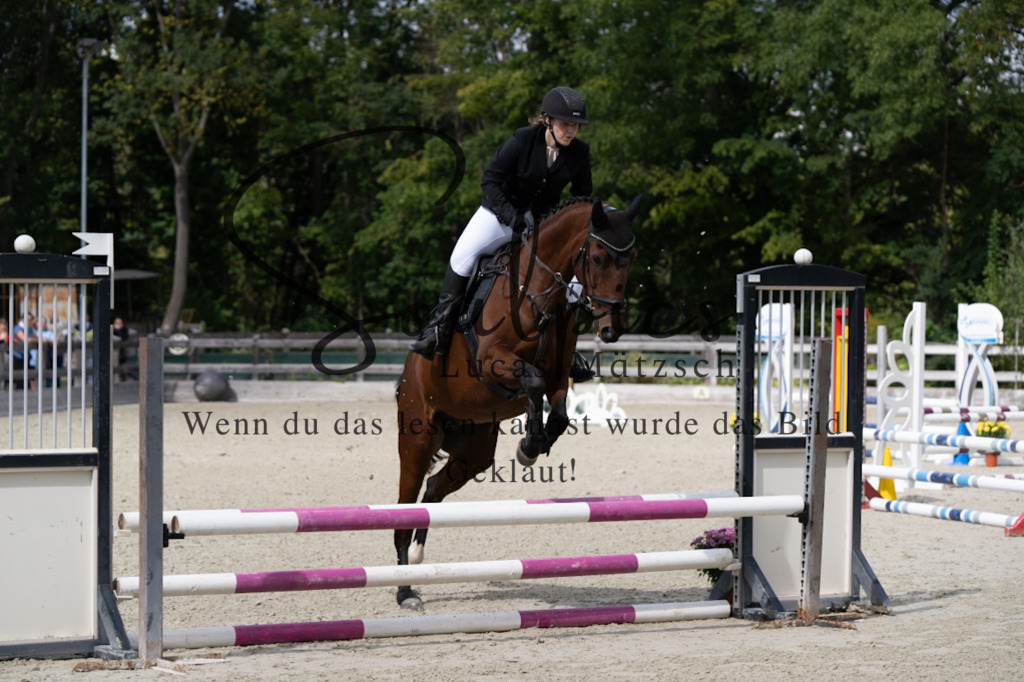 A7V07331 | Turnier/Reitfotograf