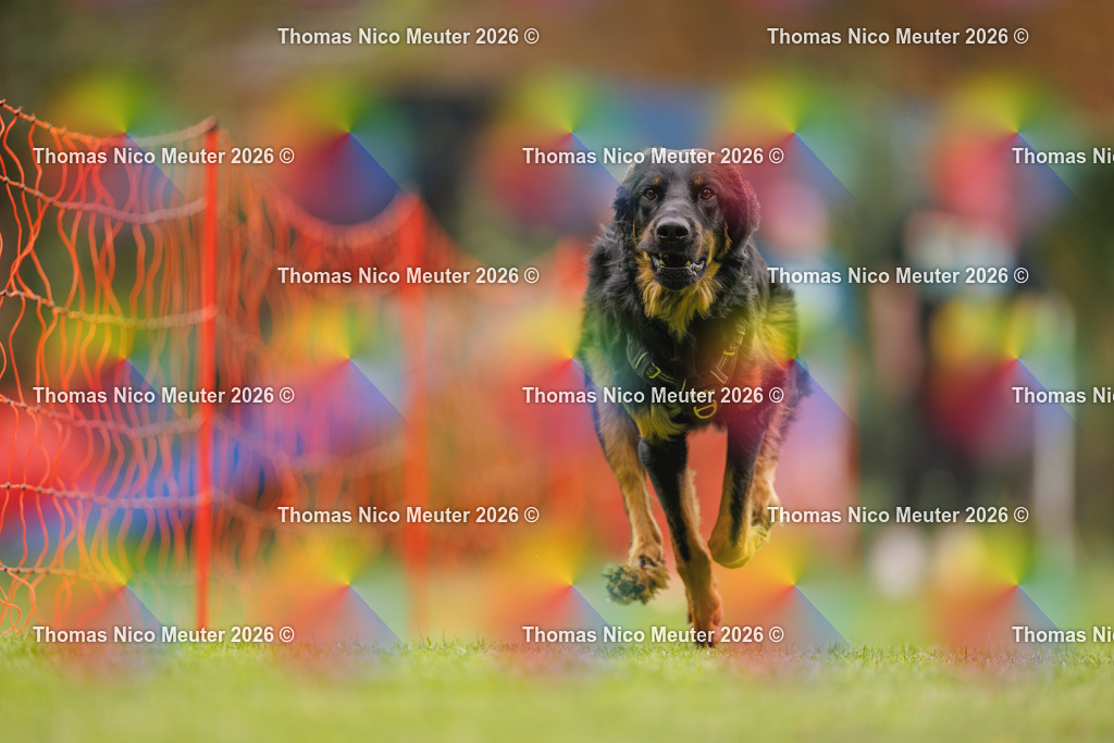 Thomas_Nico_Meuter(C)_26. September 2026_223A1742 | Bild von Thomas Nico Meuter - Realisiert mit Pictrs.com