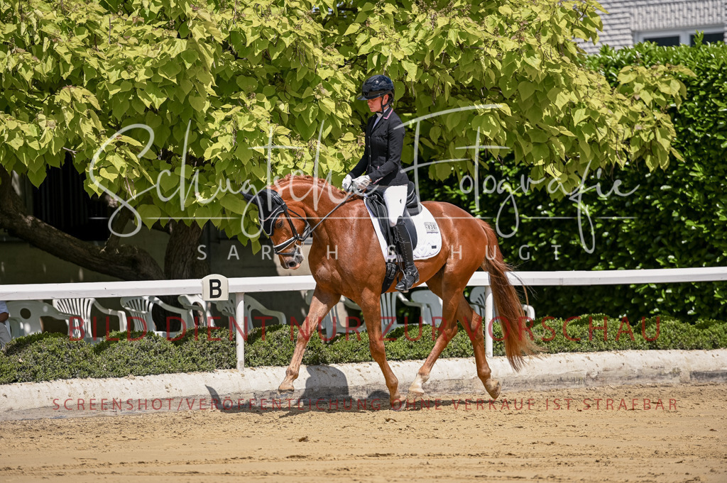 Schugtsche-Aluta25-48.Reitpferfdeprf.-263 | Schugtsche Fotografie - Realisiert mit Pictrs.com