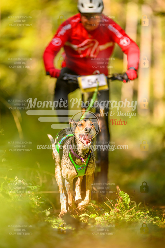 MompixPhotography_Yens2025_B2-73 | PayLife