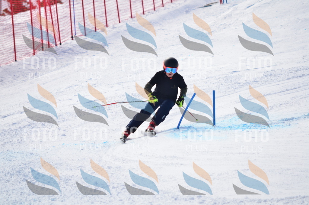 D0036 | holidayphoto