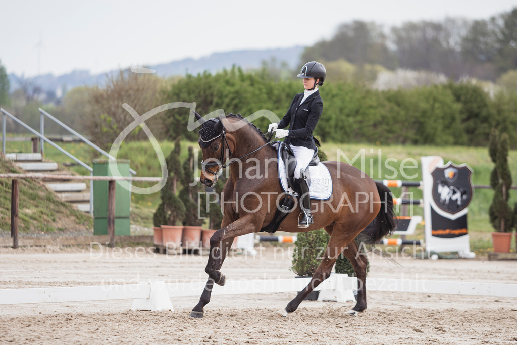 250416_Dressurpferde-L-203 | Deine schönsten Turniermomente als professionelle Fotos! Entdecke hochwertige Pferdesport-Fotografie im Online-Shop. Jetzt Fotos finden & bestellen!