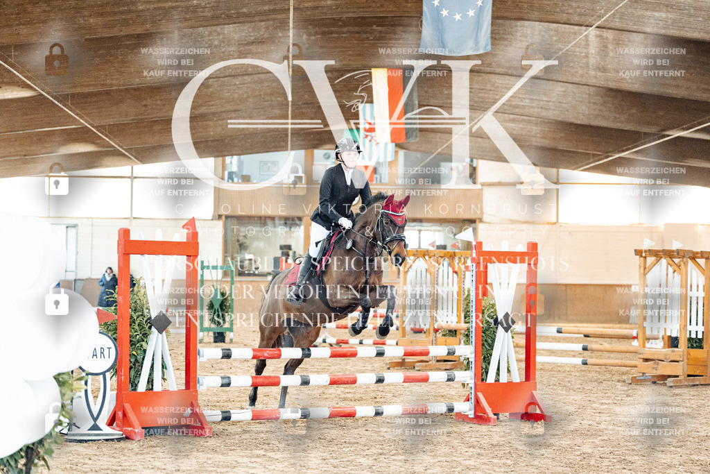 CK903760 | Turnierfotografie Pferdefotografie Trier Rheinland-Pfalz Pferdesport Reitsport Tierfotografie Sportfotografie Pferdevideo Pferdevideografie Equestrianvideography equestrianphotography  - Realisiert mit Pictrs.com