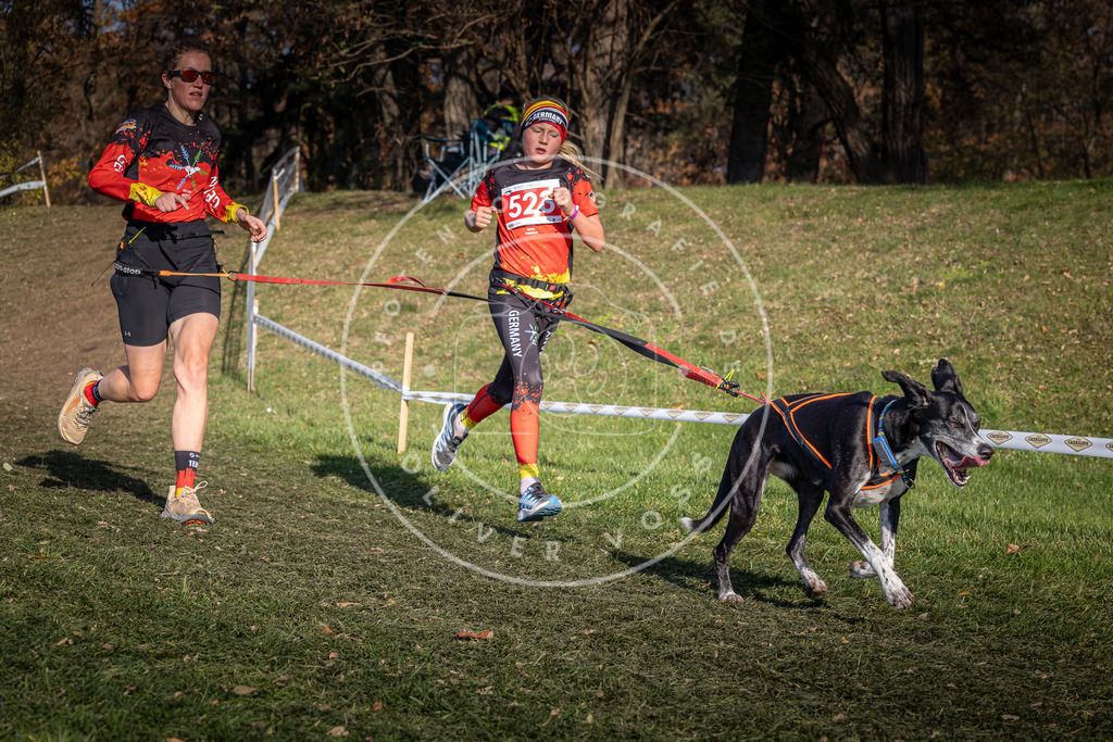 CaniXpix_0L8A8657 | Hundefotografie, Tierfotograf, Pfotenfotografie, Fotoshooting Hund, Hunde Portrait, Hundesport, Hundeportraits, Heideshooting, Hunde, Sportfotograf, Hundefotograf, Turnierhundsport, THS,  - Realisiert mit Pictrs.com