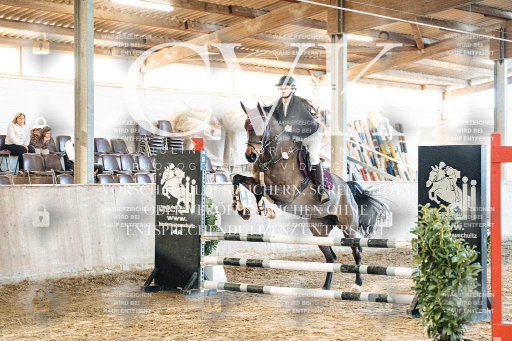 CK904204 | Turnierfotografie Pferdefotografie Trier Rheinland-Pfalz Pferdesport Reitsport Tierfotografie Sportfotografie Pferdevideo Pferdevideografie Equestrianvideography equestrianphotography  - Realized with Pictrs.com