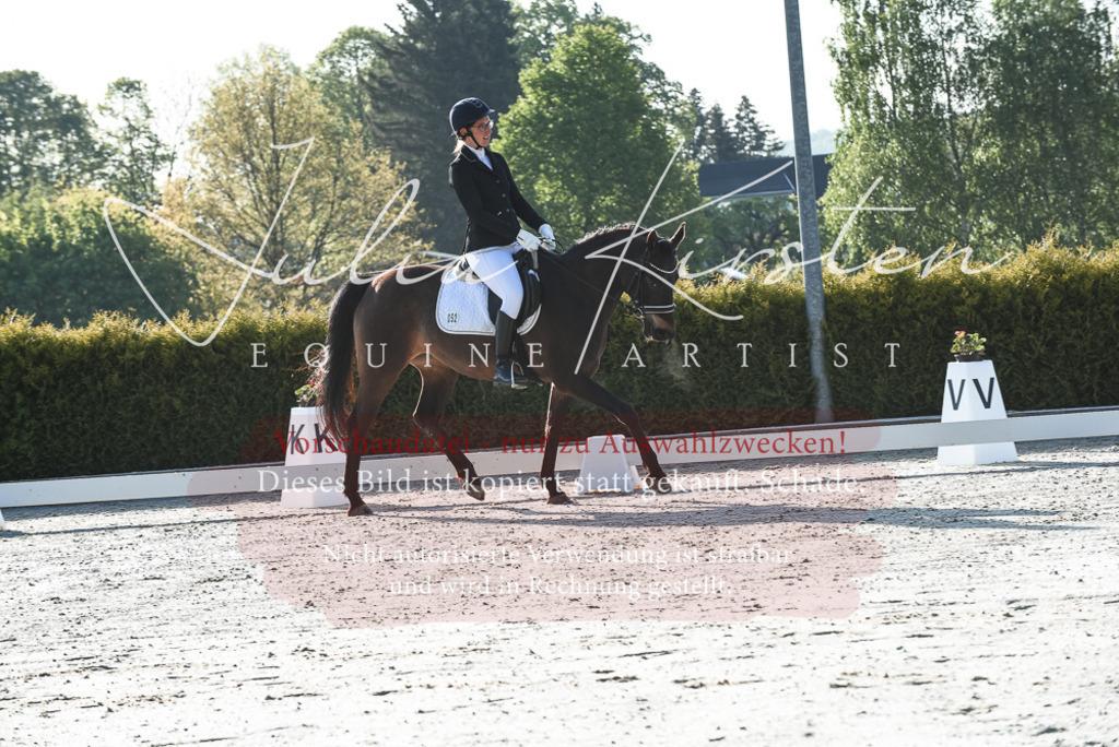 20230518_JK-Röhrsdorf-09-0079 | Pferde- und Turnierfotografie in Westsachsen. Pferdeportraits, Auftragszeichnungen und intuitive Kunst.