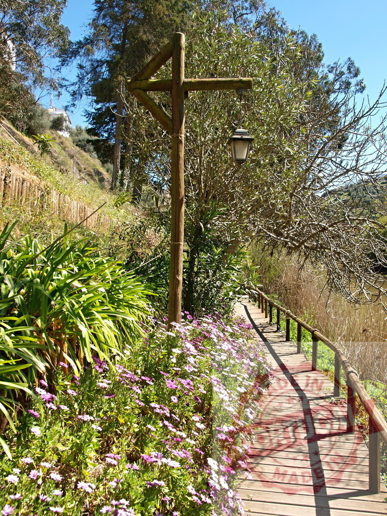 Wooden walkway with street lamp and vibrant flowers | Wooden boardwalk path in a sunny park with blooming purple and white flowers - Realized with Pictrs.com