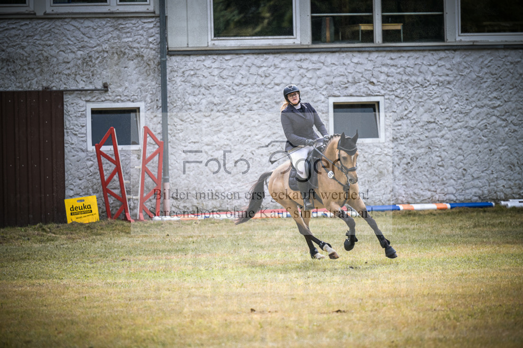 DOS_0789 | Entdecke hochwertige Reitturnierfotos von Foto Oger. Professionell, emotional und authentisch – jetzt Lieblingsmomente im Shop bestellen.Deutschlandweite Turnierfotografie. - Realisiert mit Pictrs.com