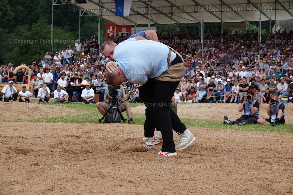 DSC01338 | Schwingen - Realisiert mit Pictrs.com