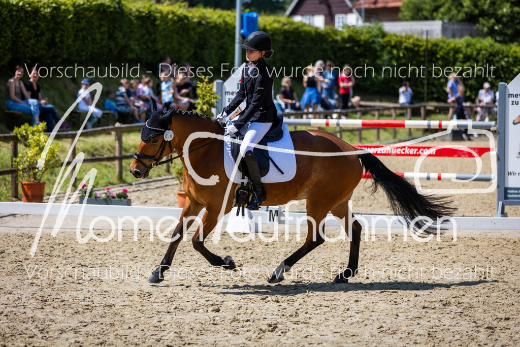 Donop24-RWB-018 | MomenTaufnahmen Pferdesportfotos