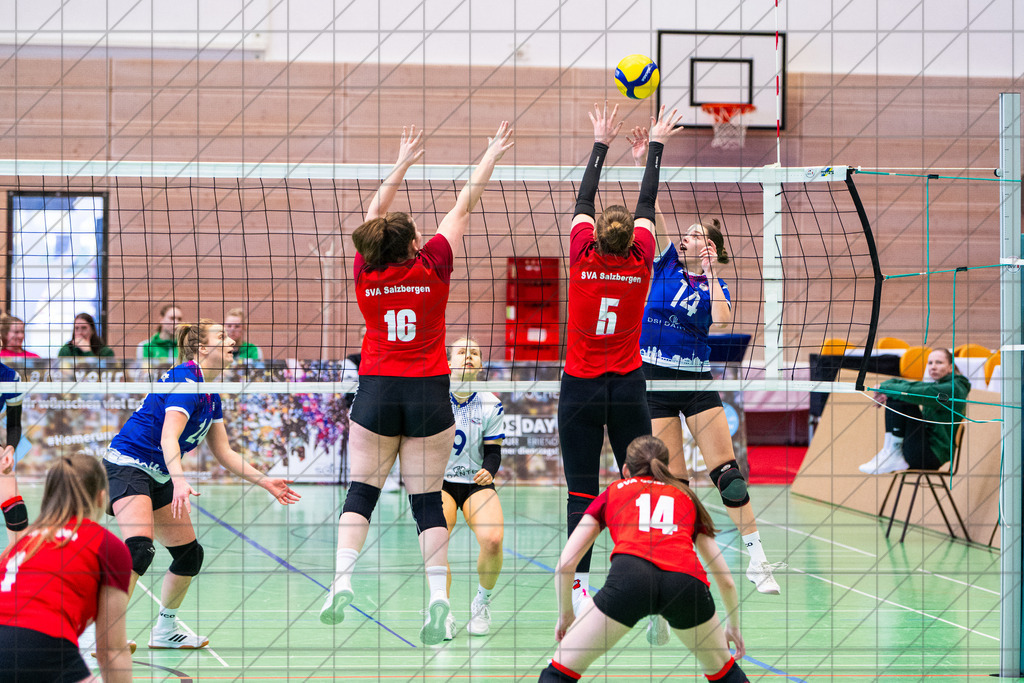 Verbandsliga 1 (Frauen) | VCO Osnabrück II vs. SV Alemania Salzbergen 2 | 07.02.26: Verbandsliga 1 (Frauen) | VCO Osnabrück II vs. SV Alemania Salzbergen 2 / Osnabrück / Deutschland  //   CREDIT:www.bullenfotos.de, Martin König, Hörner Weg 40, D-49078 Osnabrück, +4917663732967 // Nutzung und Weitergabe nur zu den vereinbarten Zwecken. Presseanfragen an Ersteller. Alle Rechte beim Ersteller. Honorierung nach MFM. - Realisiert mit Pictrs.com