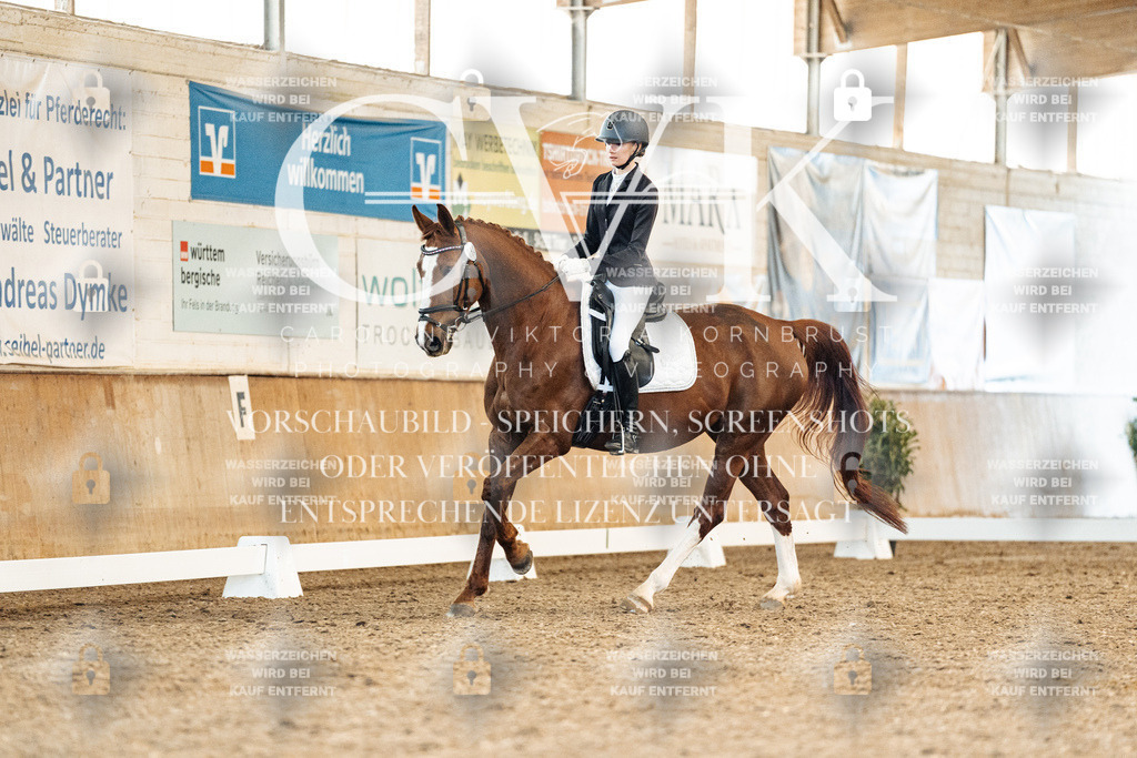 CK908551 | Turnierfotografie Pferdefotografie Trier Rheinland-Pfalz Pferdesport Reitsport Tierfotografie Sportfotografie Pferdevideo Pferdevideografie Equestrianvideography equestrianphotography  - Realisiert mit Pictrs.com