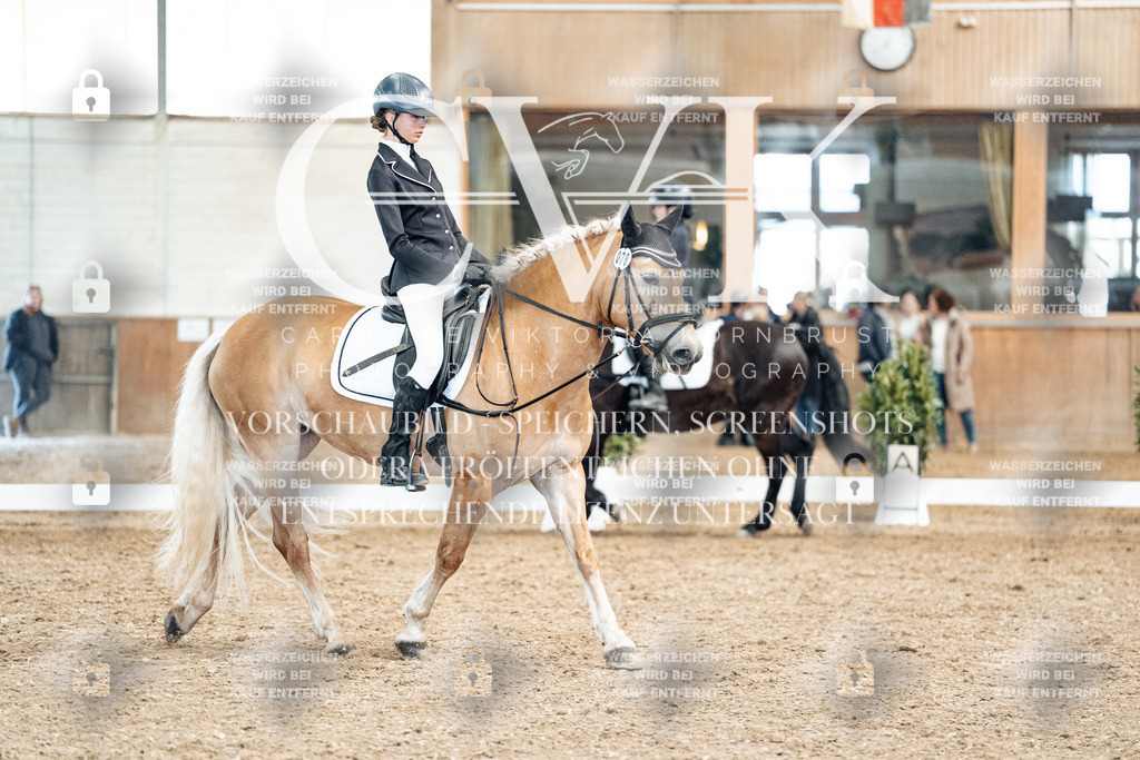 CK900295 | Turnierfotografie Pferdefotografie Trier Rheinland-Pfalz Pferdesport Reitsport Tierfotografie Sportfotografie Pferdevideo Pferdevideografie Equestrianvideography equestrianphotography  - Realized with Pictrs.com