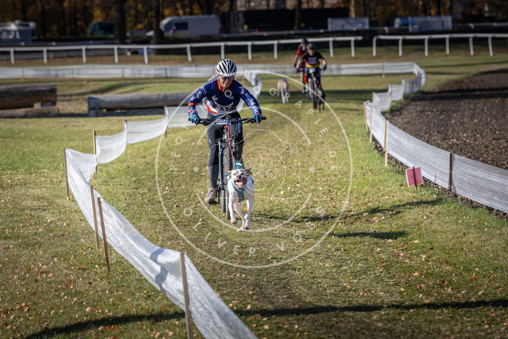 CaniXpix_DV3A6874 | Hundefotografie, Tierfotograf, Pfotenfotografie, Fotoshooting Hund, Hunde Portrait, Hundesport, Hundeportraits, Heideshooting, Hunde, Sportfotograf, Hundefotograf, Turnierhundsport, THS,  - Realisiert mit Pictrs.com
