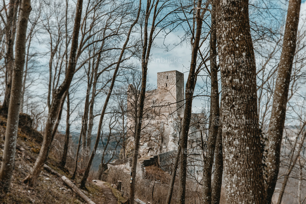 Ruine Reussenstein im Winter | löwenblicke | shop
