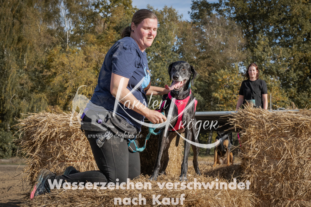 1119_ZZ90956 | kk-dogfotos